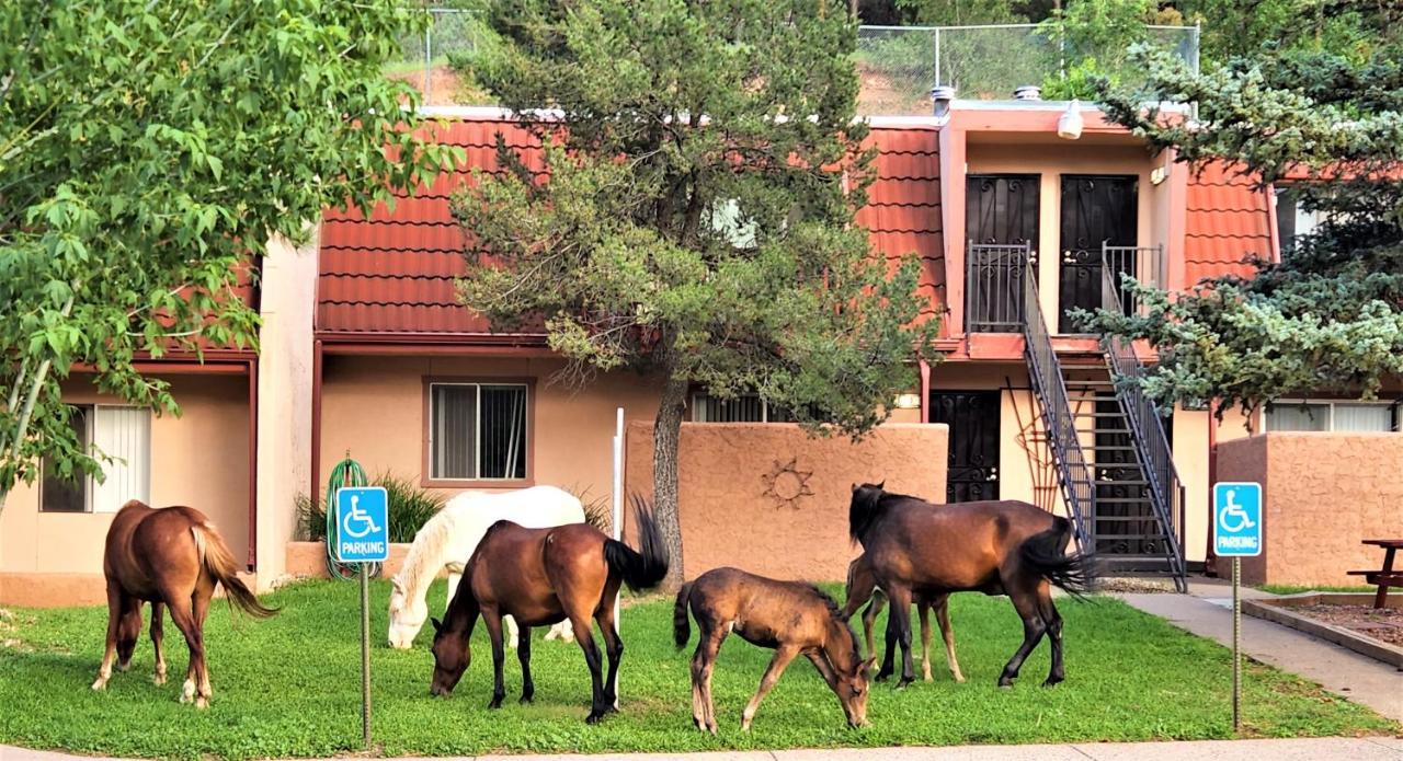 Pinecliff Village Resort Hollywood Экстерьер фото